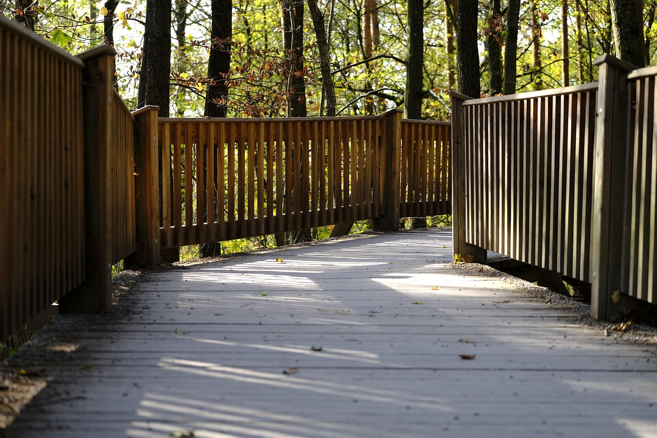 火柴人觉醒:wd 平台代理