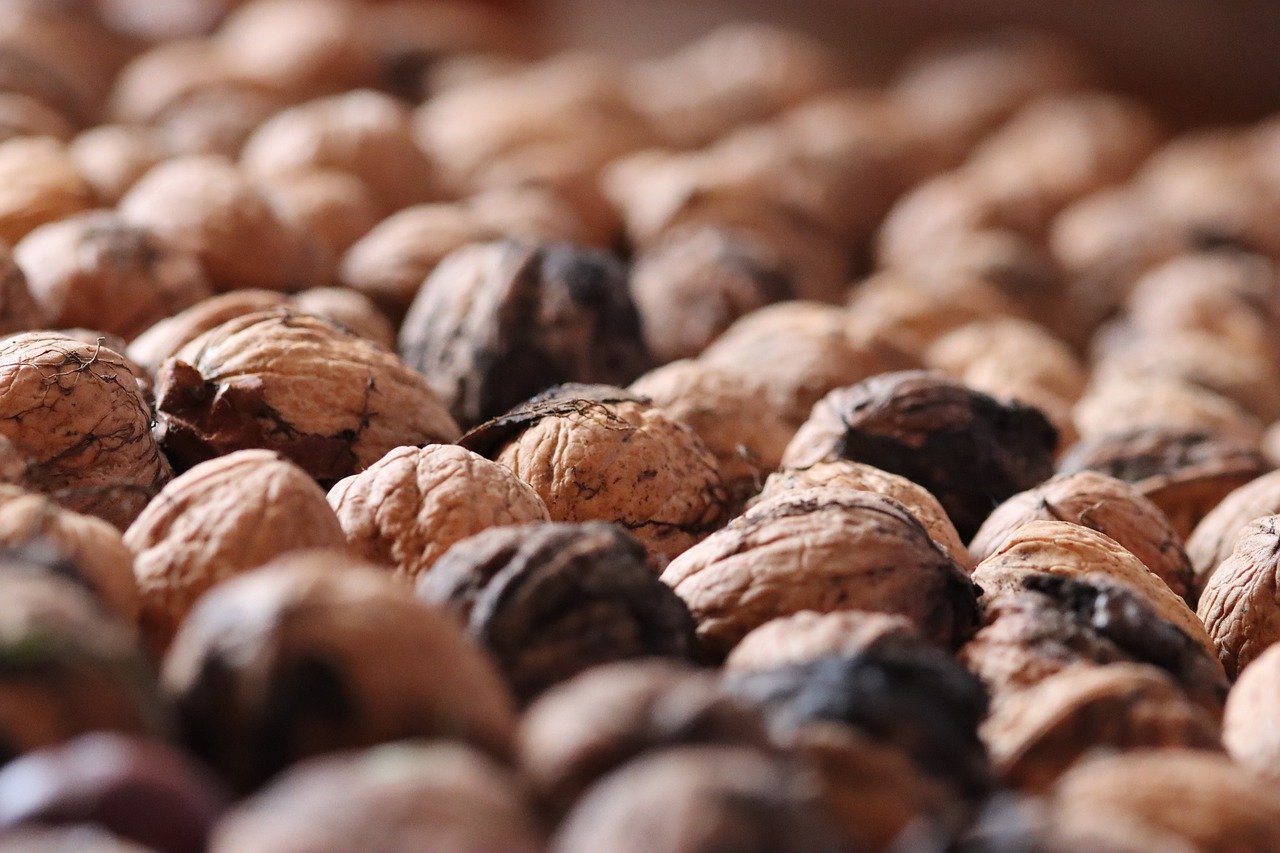 优酷移动实名账号:app扫号器详情下载教程