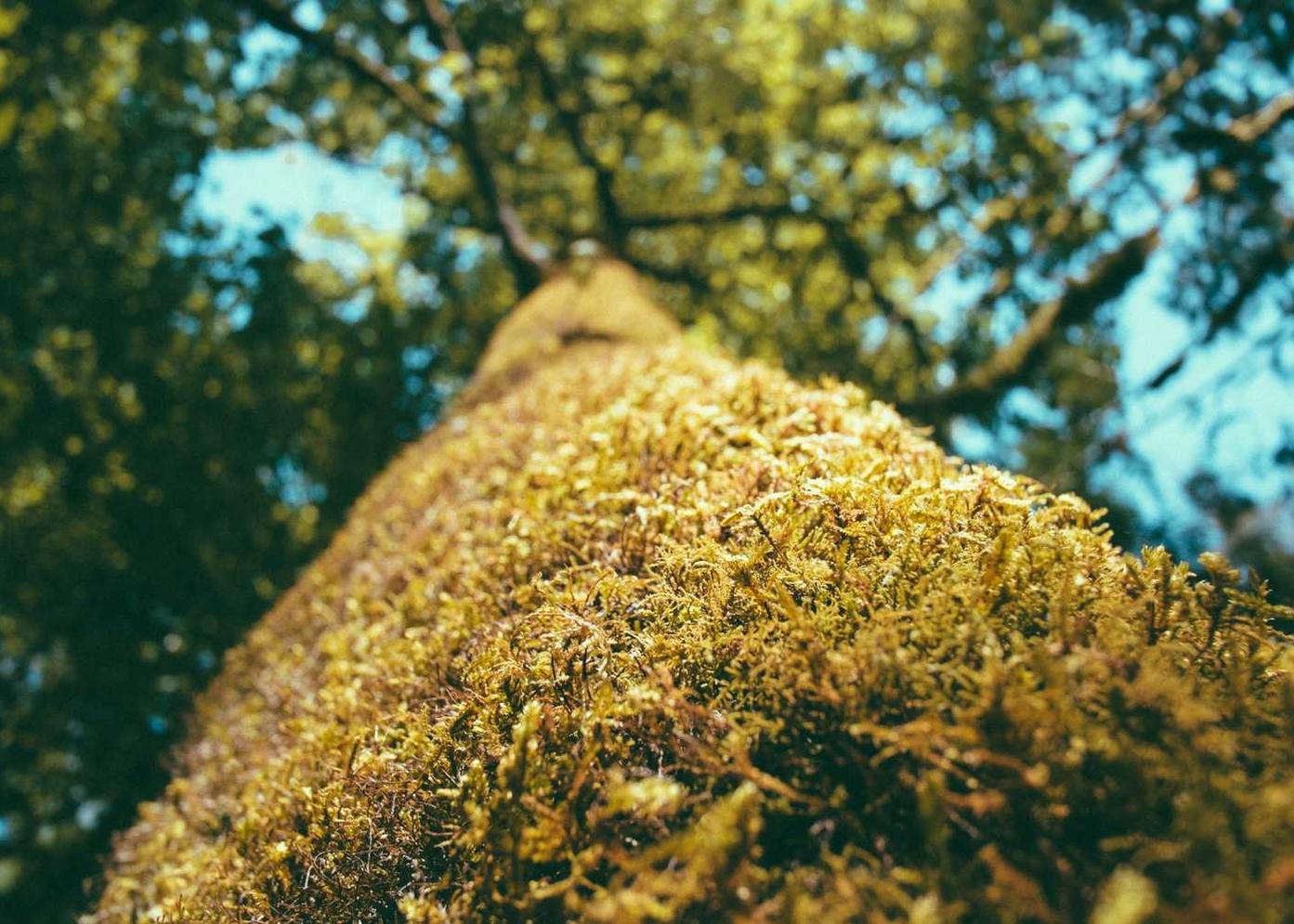 沃派星燃卡实名账号：短信营销如何衡量效果：从回执率到转化率