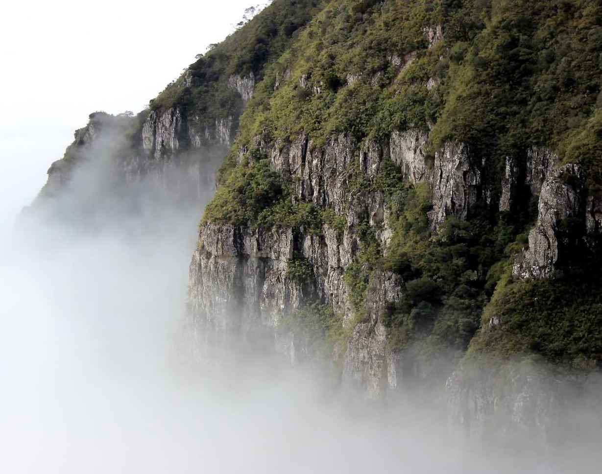 蚁族崛起:淘宝里的网店怎么注册账号