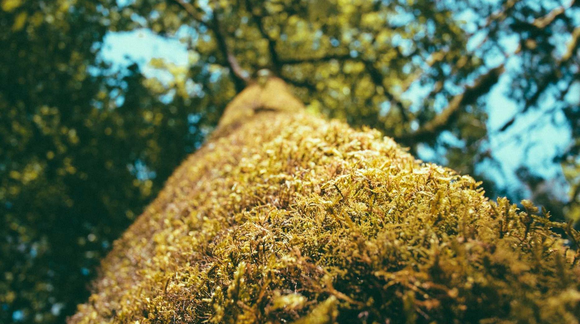 DDOS攻击教程|山东液压升降桌购买平台