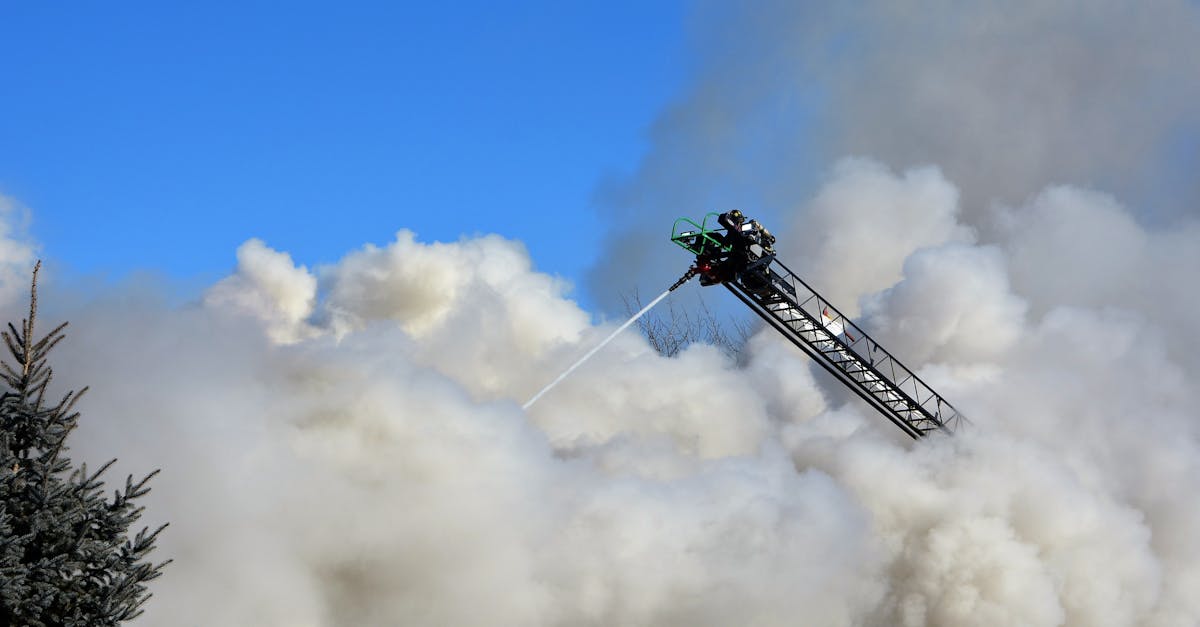 七星柔和（7mg）：电视盒 直播app详情下载教程
