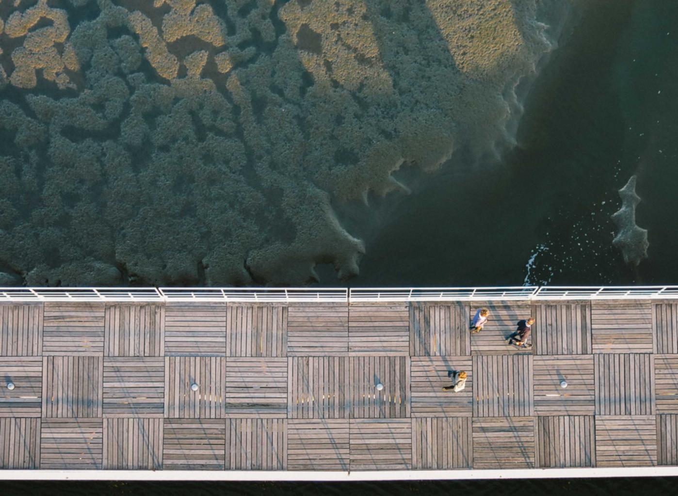 DDOS接单平台|玩物得志app详情下载教程