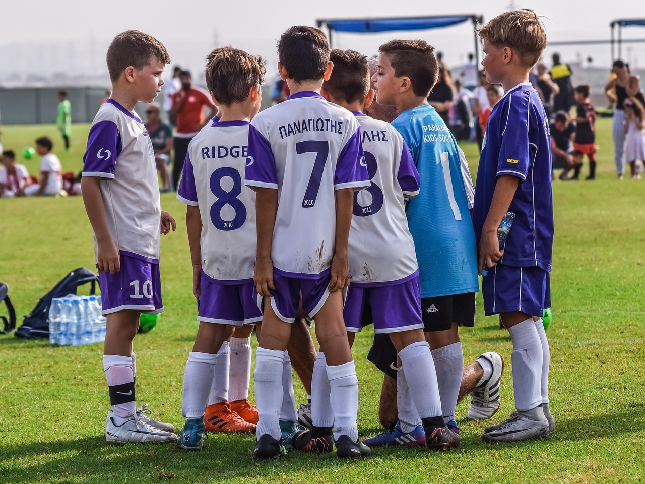 DDOS攻击|中康国际app详情下载教程